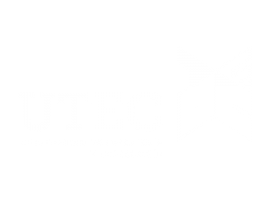UTEC - Universidad de Ingeniería y Tecnología